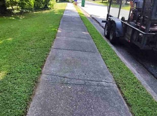 Dave V.'s lawn maintenance service result