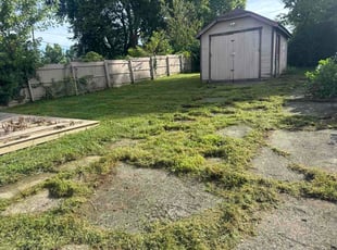 Bill P.'s turf care service result