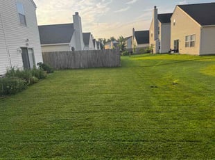 Bibhash N.'s turf maintenance service result