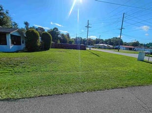 Denise J.'s lawn service service result