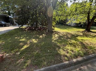 Alison G.'s turf care service result