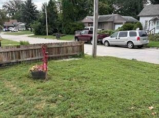 Jamali T.'s lawn maintenance service result