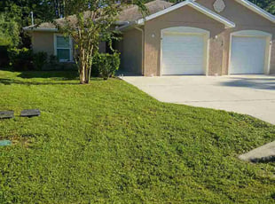 Troy P.'s turf care service result