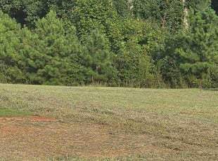 Erin A.'s grass maintenance service result