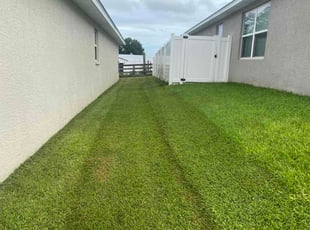 Steven S.'s lawn care service result