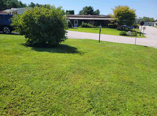 Jason H.'s lawn maintenance service result