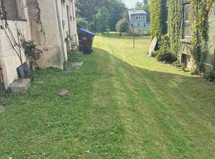 L R.'s lawn service service result