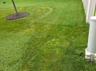 Joe G.'s grass cutting service result