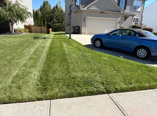 Pamela W.'s lawn care service result
