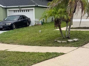 Jennifer E.'s lawn maintenance service result