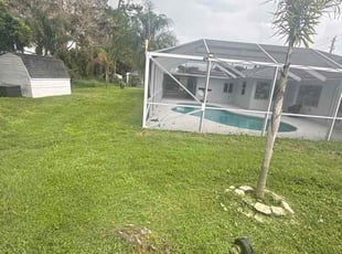 Linda S.'s turf care service result