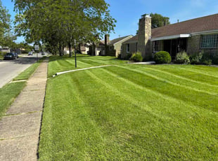 David L.'s lawn care services service result