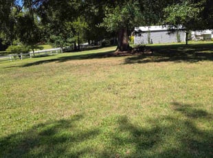 Zac R.'s lawn service service result