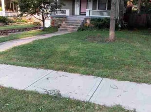Uktam. E.'s lawn care services service result