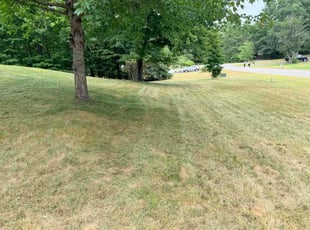 David G.'s lawn care service result