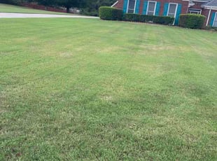 Andre C.'s turf care service result