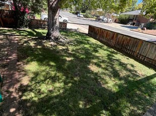 Carol H.'s turf care service result