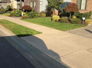 Jonathan W.'s Lawn Mowing service result
