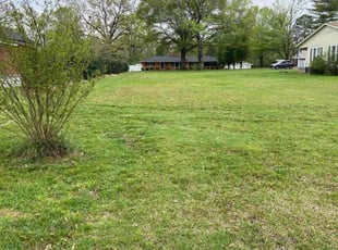 Caterina R.'s Lawn Care service result