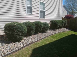 Paul M.'s Lawn Maintenance service result