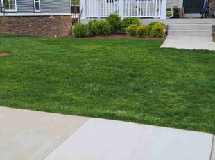 David R.'s Lawn Service service result