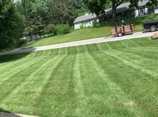 Jaime D.'s Lawn Service service result