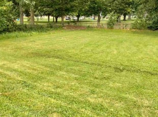 Marcus M.'s Lawn Mowing Service service result