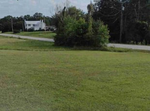 Mario P.'s Lawn Mowing service result