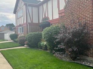 Susan N.'s Yard Cutting service result