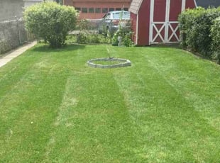 Lorraine M.'s Yard Cutting service result