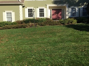 Steve W.'s Lawn Care service result