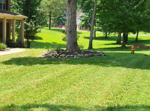 Adrian W.'s Lawn Care service result
