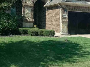 Rebecca S.'s Lawn Maintenance service result
