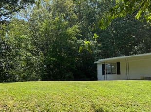 Lou C.'s Lawn Care service result
