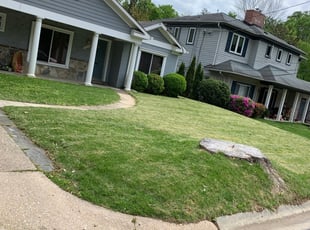 Burneice S.'s Grass Cutting service result