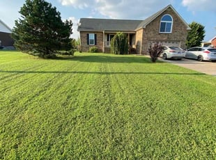 Loann M.'s Lawn Service service result