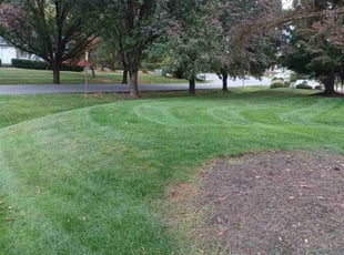 Edith C.'s Grass Cutting service result