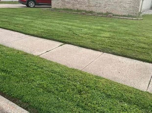 Chris L.'s Lawn Service service result