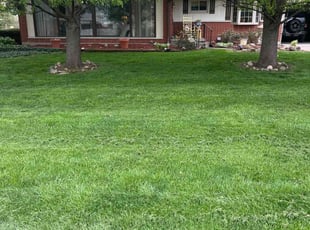 DJ T.'s Lawn Service service result