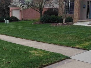 Grena B.'s Lawn Mowing service result