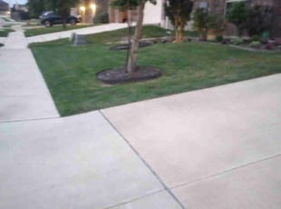 Carol H.'s Lawn Mowing service result