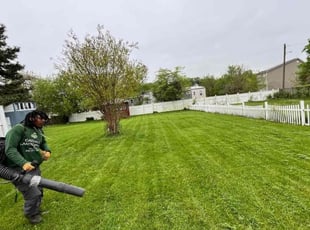 Stephanie B.'s Lawn Care service result