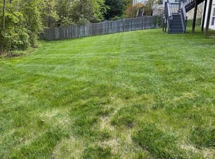 Linda N.'s Lawn Mowing service result