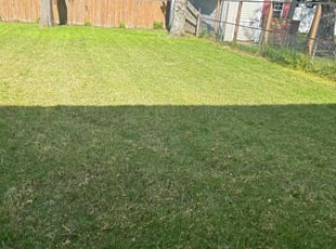 Rick B.'s Grass Cutting service result