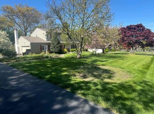 Lashonda S.'s Lawn Maintenance service result