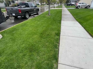 Jackie G.'s Lawn Service service result