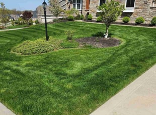 Sanjay P.'s Yard Cutting service result