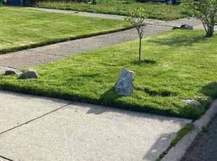 Pamela H.'s Lawn Mowing service result