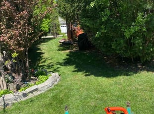 Lisa S.'s Lawn Care service result