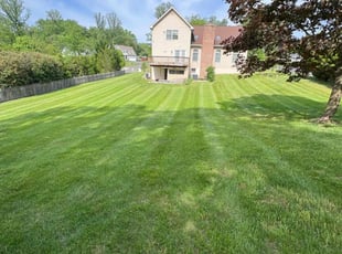 Alex A.'s Lawn Mowing service result